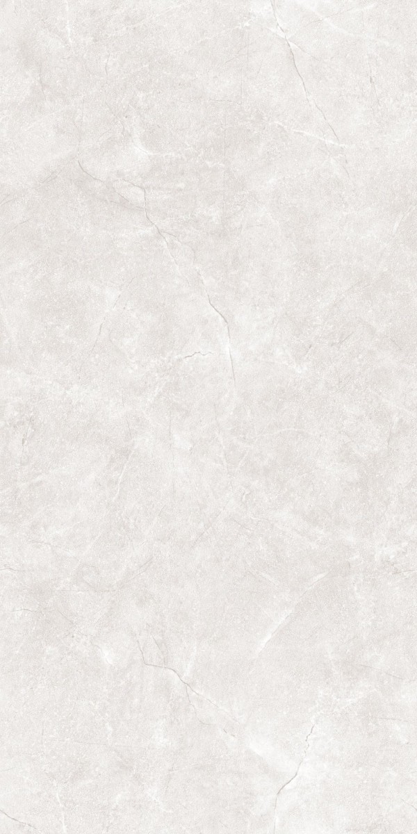 Сорбонна 22Т011