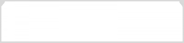 LL001 Белый с тиснением