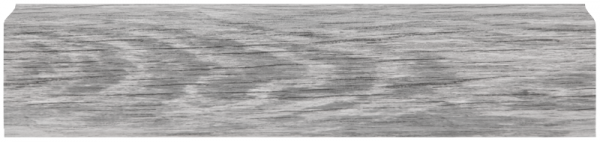 LL007 Ива серебристая