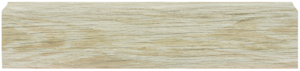 LL013 Туя светлая