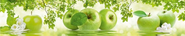 Apple Зеленое яблоко